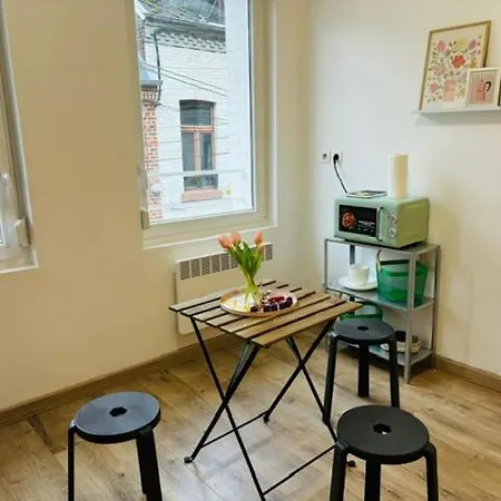 Cocooning Modern Design Avesnes-sur-Helpe